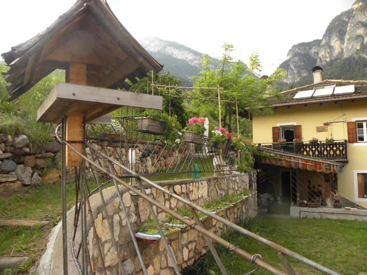 B&B La Casa Delle Bambole Panchia Dış mekan fotoğraf
