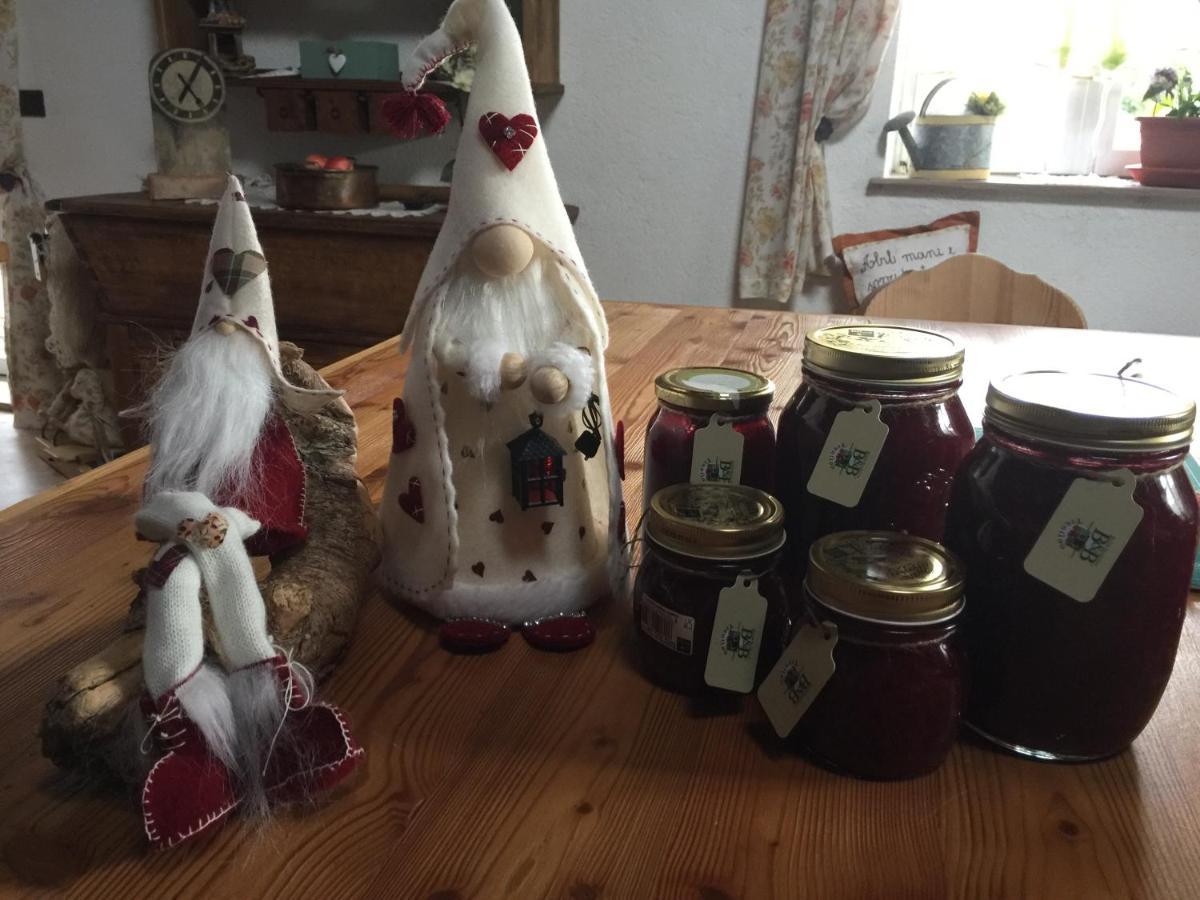 B&B La Casa Delle Bambole Panchia Dış mekan fotoğraf